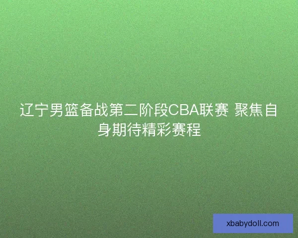 辽宁男篮备战第二阶段CBA联赛 聚焦自身期待精彩赛程